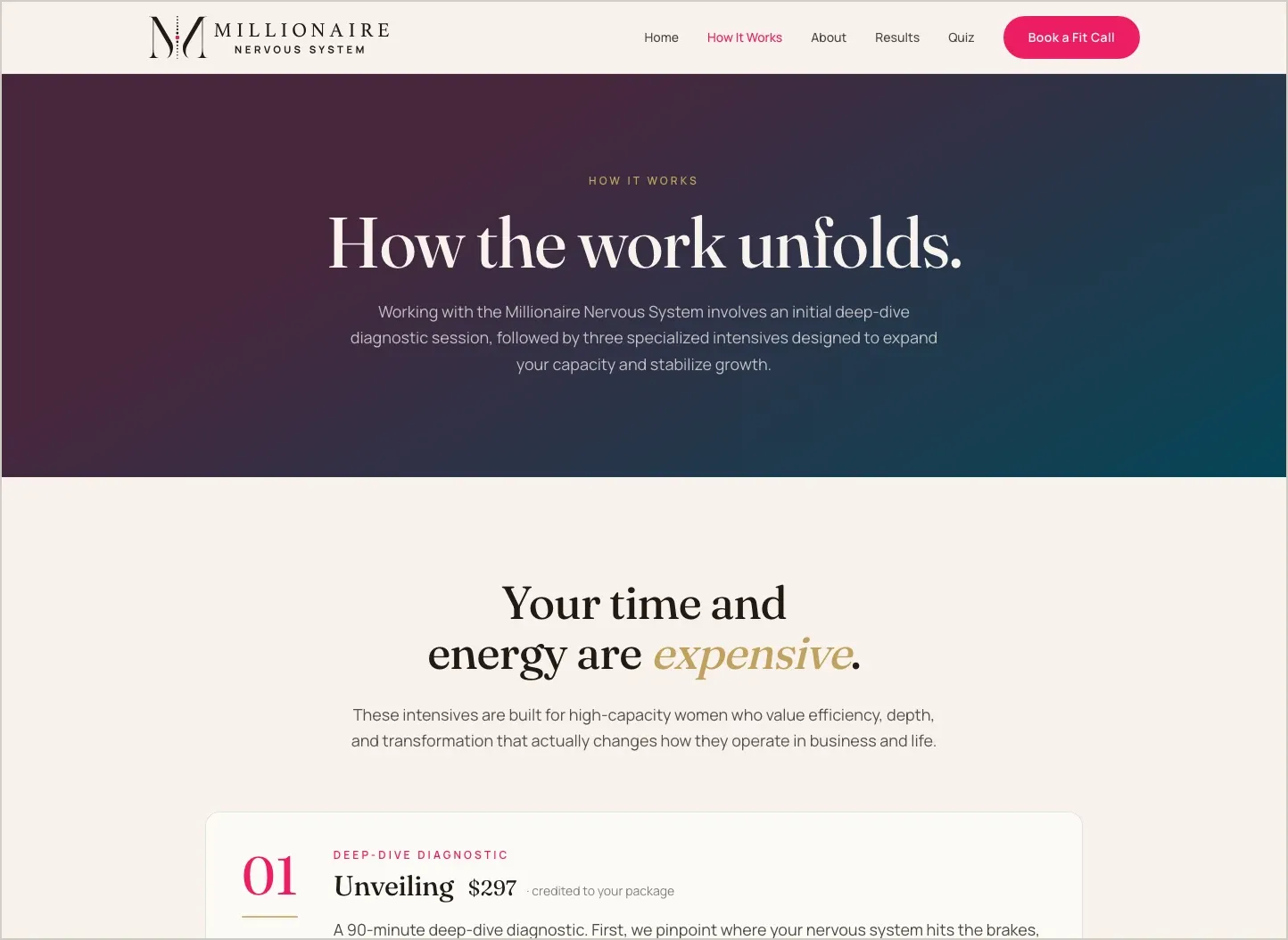 How the work unfolds: the Millionaire Nervous System programs page in the plum and teal system